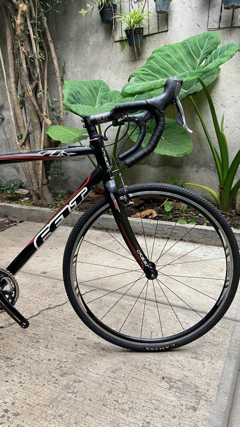BICI FELT F1X GRAVEL 54