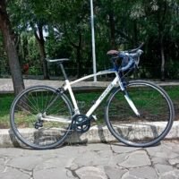 Specialized Dolce Comp