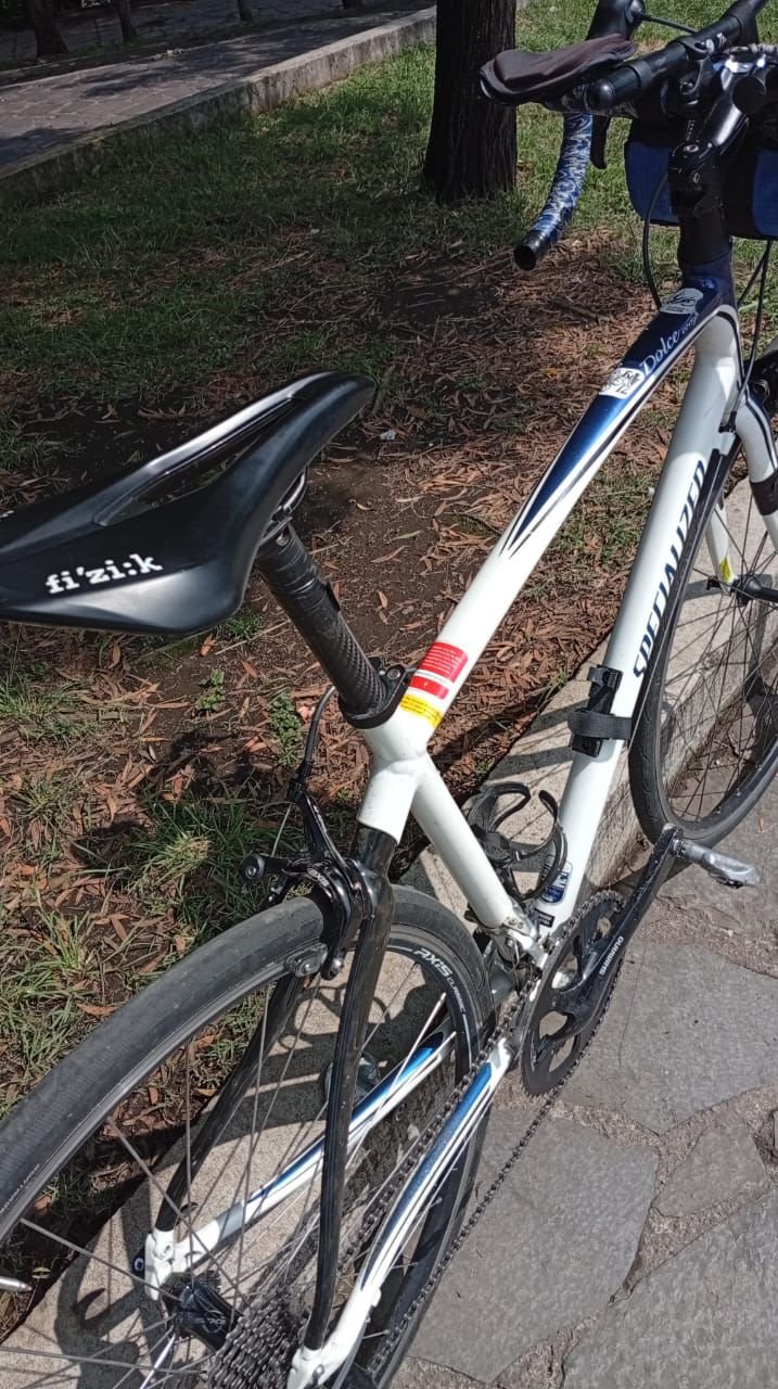 Specialized Dolce Comp