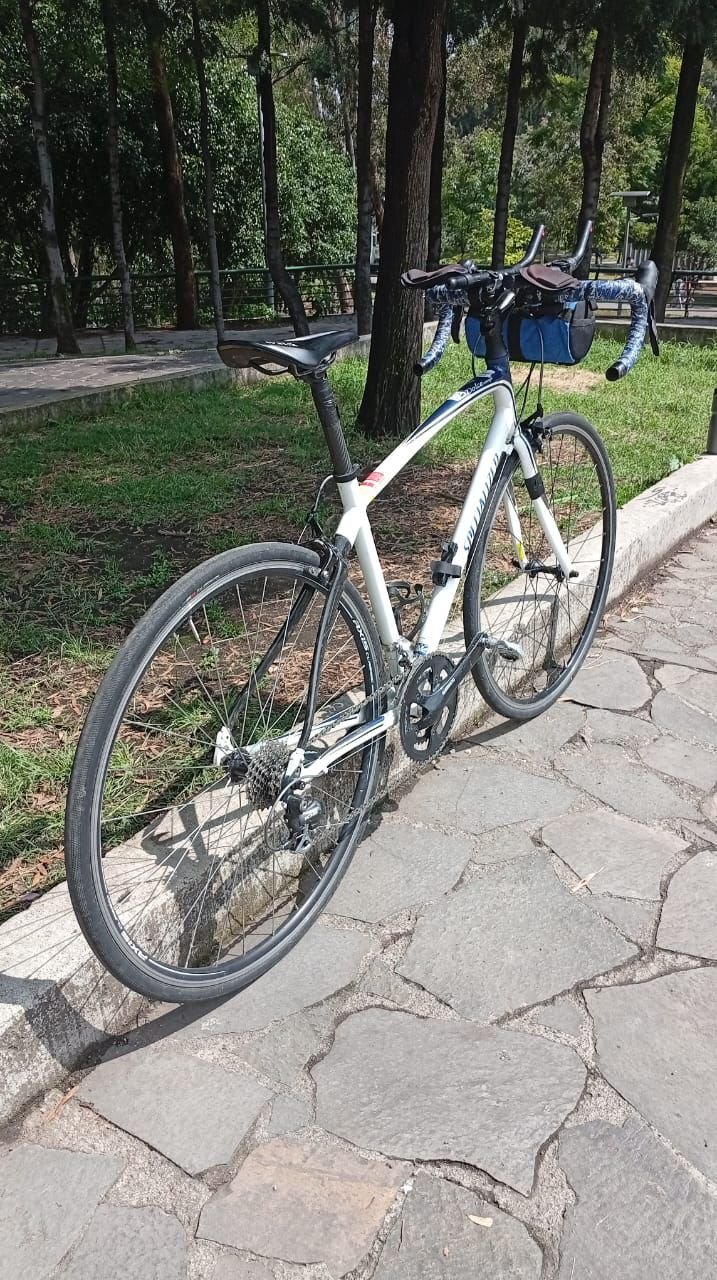 Specialized Dolce Comp